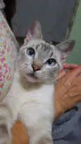 Hugo