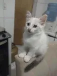 Jimmy