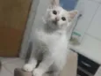 Jimmy