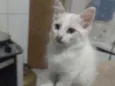 Jimmy