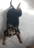 Tobby