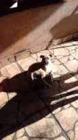 Não tem