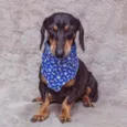Gilberto