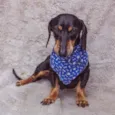 Gilberto