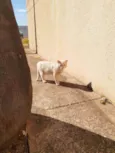Léo