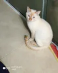 João
