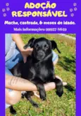 Sem nome definido