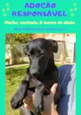 Sem nome definido
