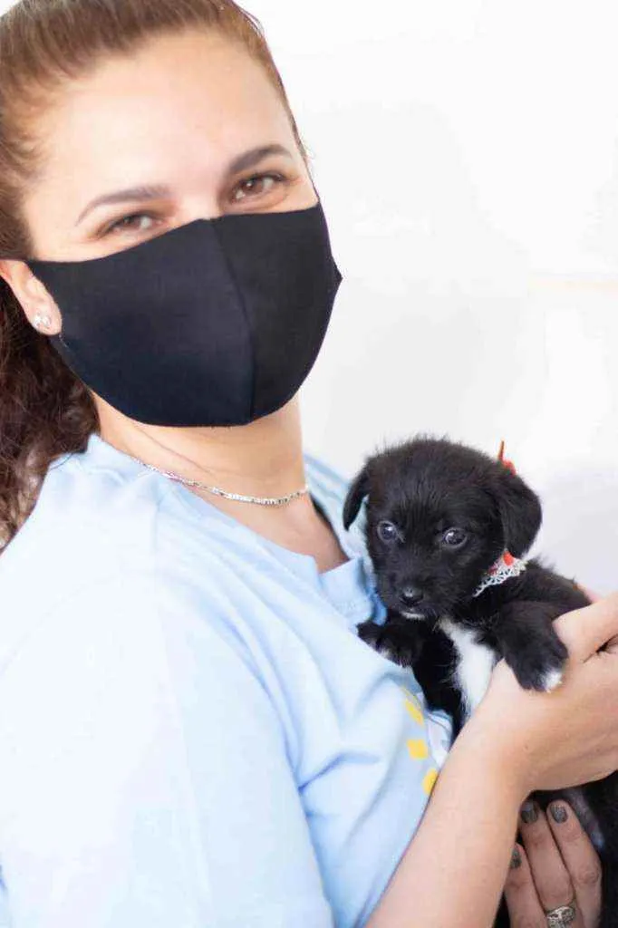 Cachorro ra a SRD ( SEM RACA DEFINIDA) idade Abaixo de 2 meses nome CORA