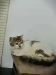 .........