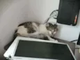 .........