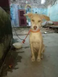 Billy