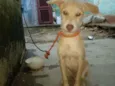 Billy