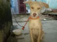 Billy