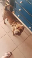 Kira
