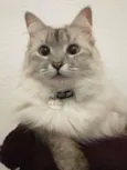Bonnie