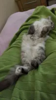Bonnie