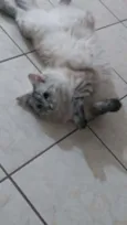Bonnie