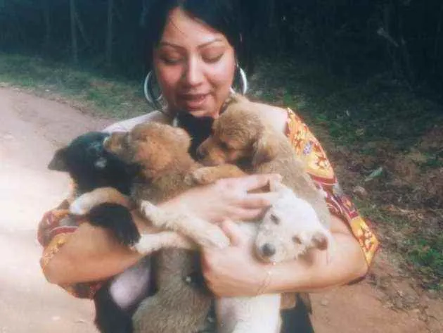 Cachorro ra a  idade 2 a 6 meses nome Brisa,Fuba e Broinha