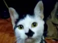 Manchinha