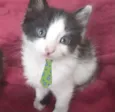 Nick 