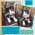 Davi