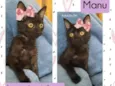 Manu