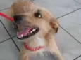 Francisco