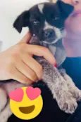 Bebezinha