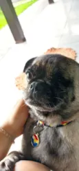 tina