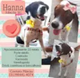 Hanna