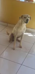 REX