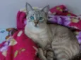 Mimi