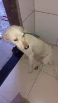 Não tem ainda
