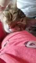 Lua