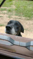 Tobi