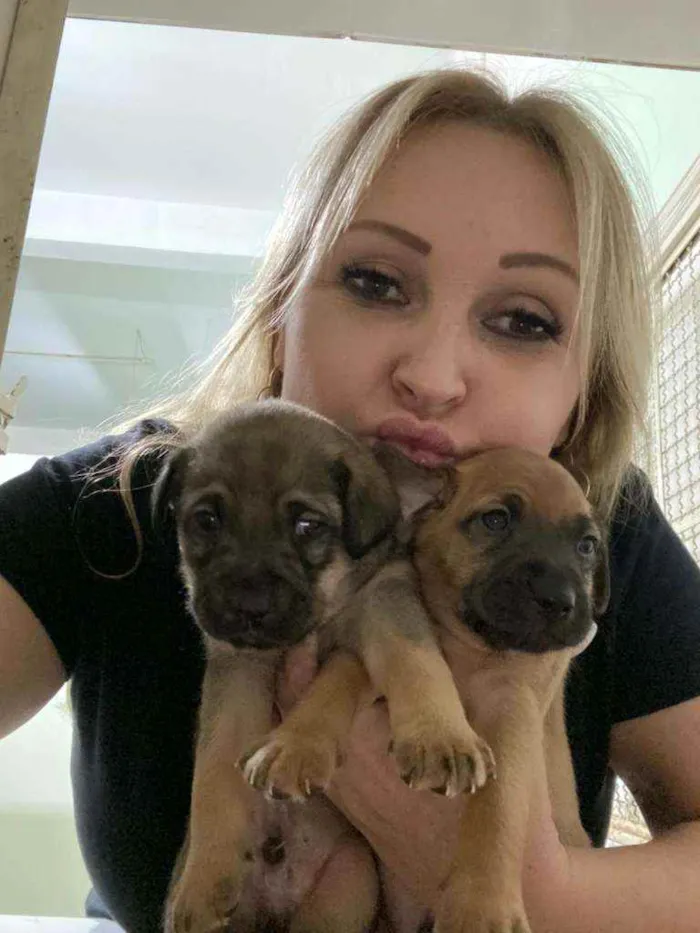 Cachorro ra a SRD idade 2 a 6 meses nome Filhotes 