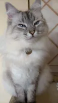 Bonnie