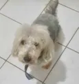 Rico