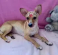 Valentina 