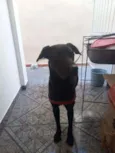 Marley