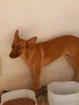 Nao sei