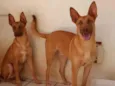 Nao sei