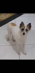 Cindy contato whats