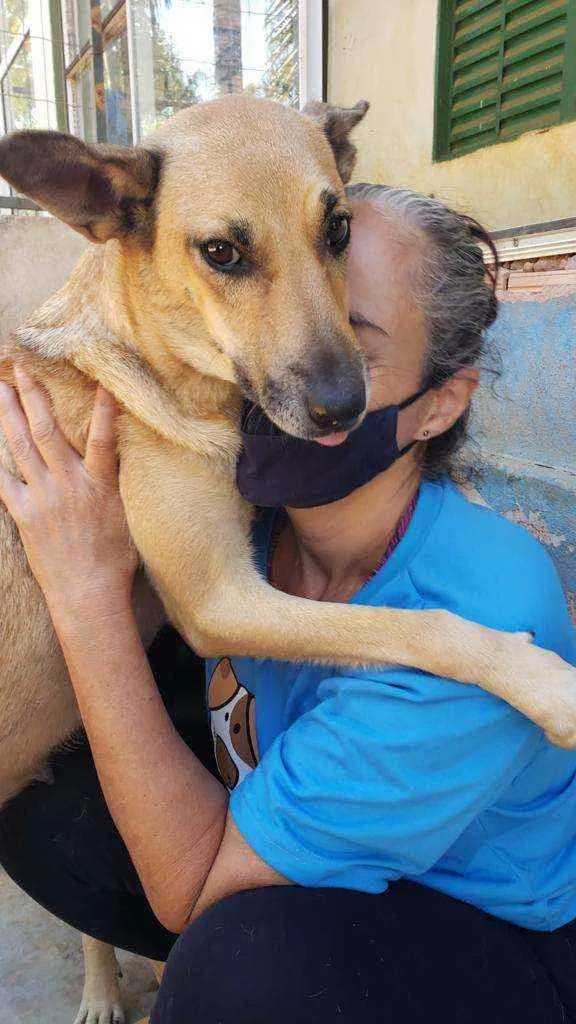 Cachorro ra a SRD idade 2 anos nome Mussarela