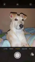 Neném