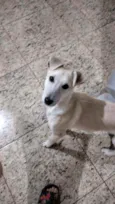 Neném