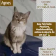 AGNES