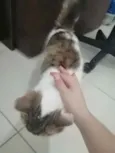.........