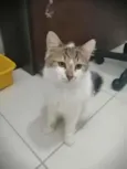 .........
